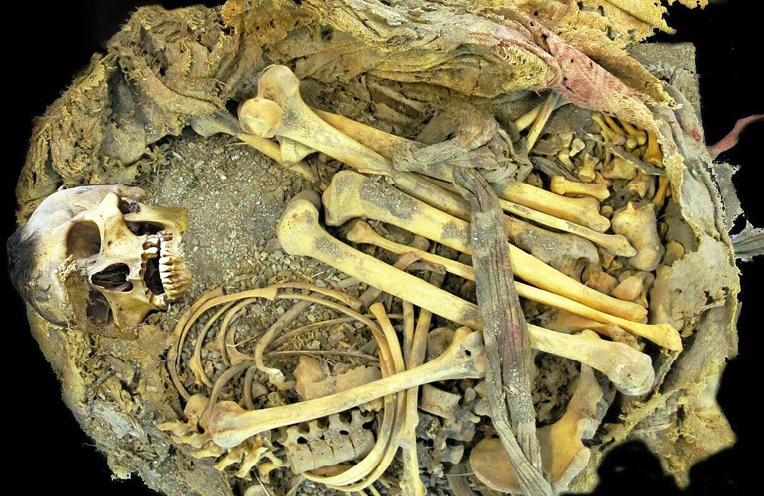 Intact gut microbes found in 1,000-year-old “Zimapán man”