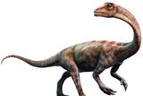 230-Million-Year-Old Headless Fossil in Argentina Is One of the World’s Oldest Dinosaurs