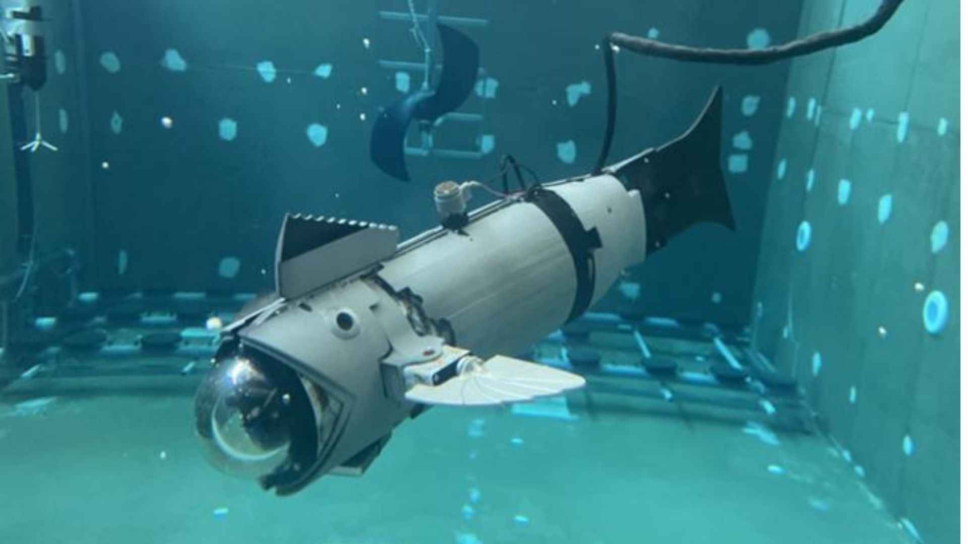 Spain’s award-winning robot fish enhances maintenance in fish farms