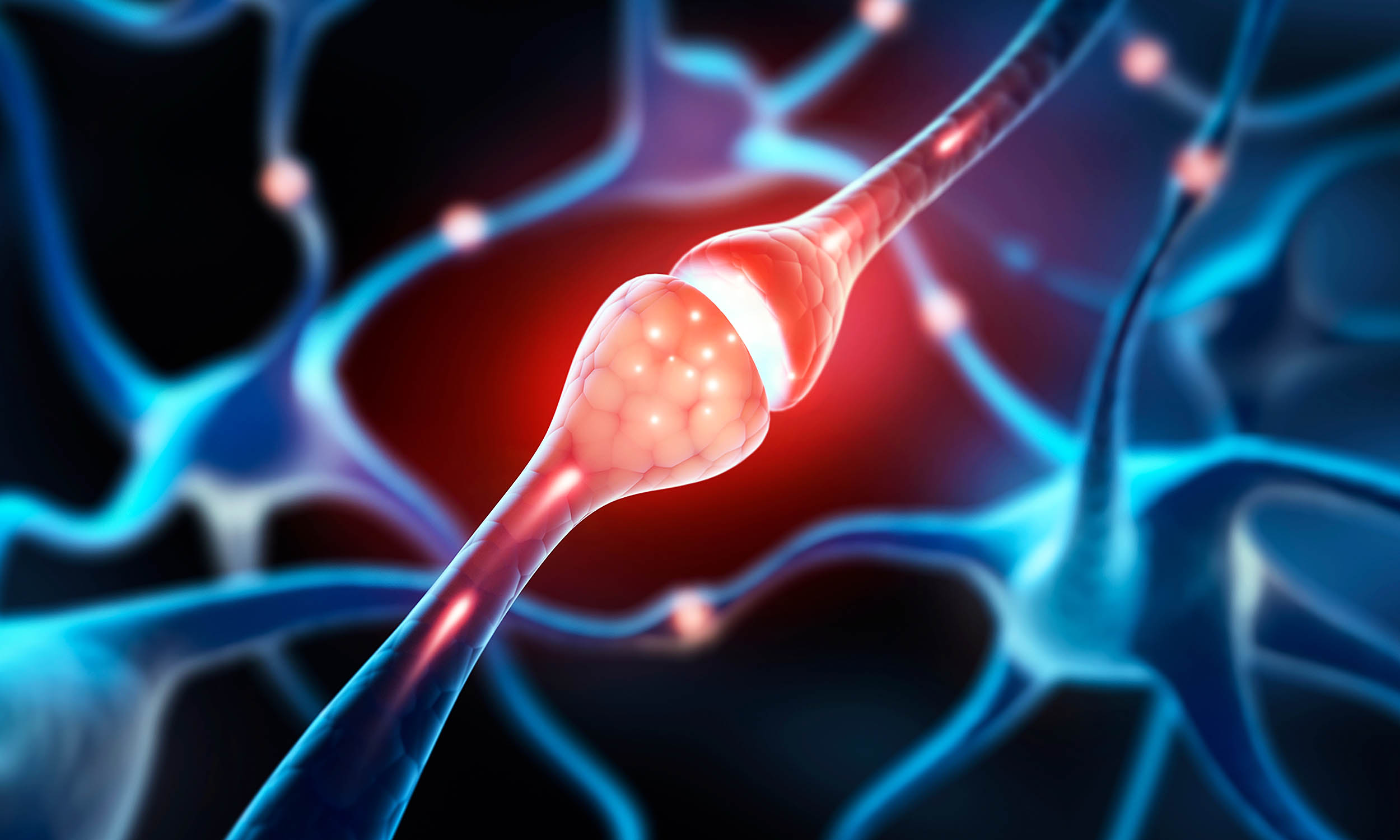 Discovery upends 100-year-old assumption about brain cells