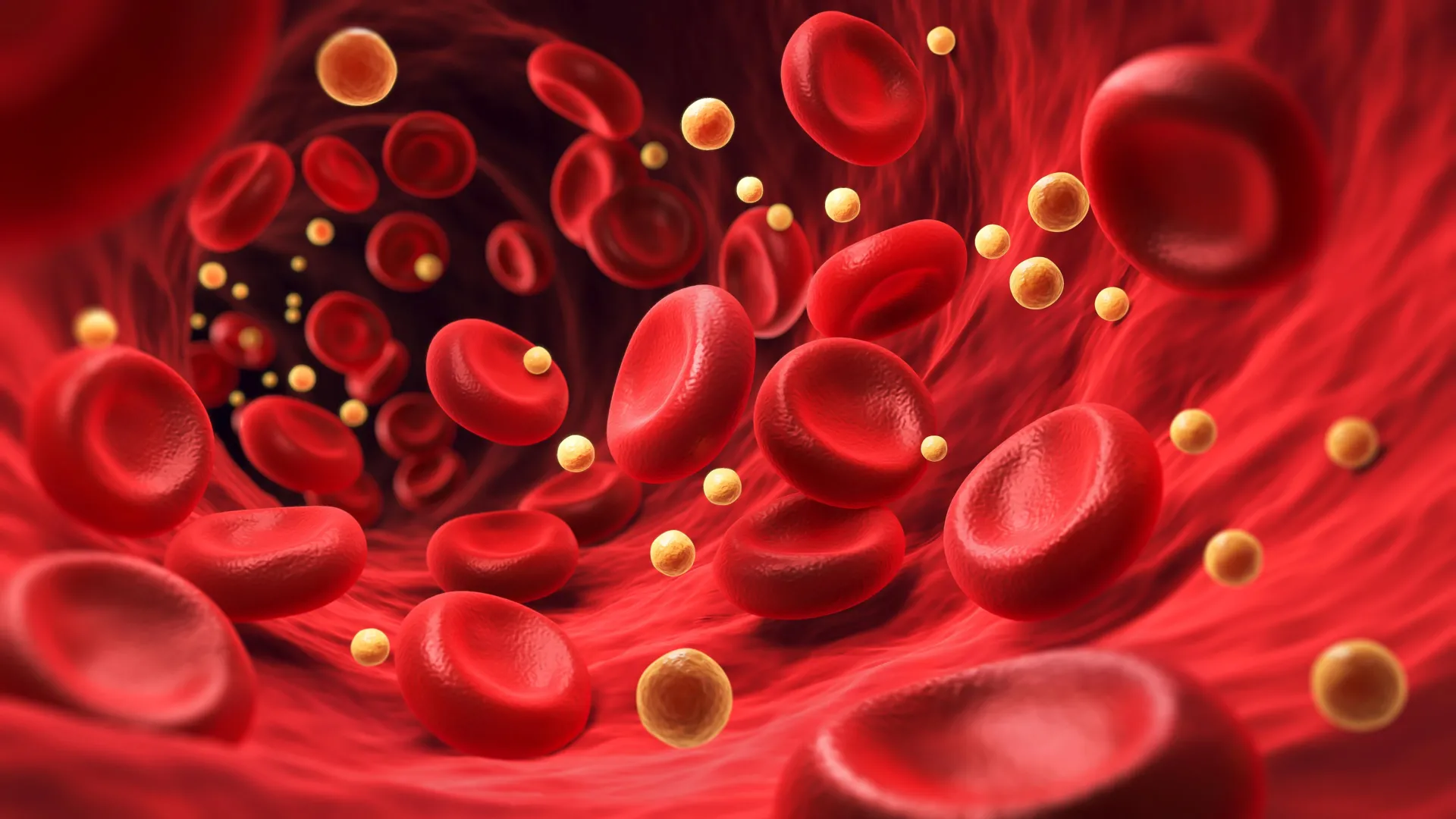 A hidden blood molecule may hold the secret to healthy aging and long life