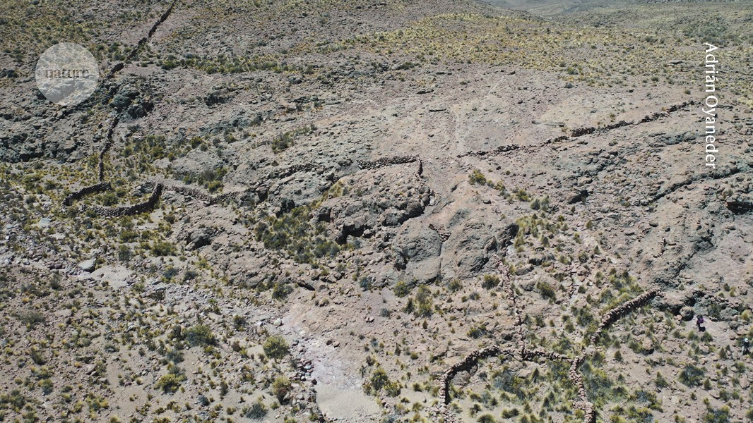 Andean peoples hunted and gathered long after they embraced farming