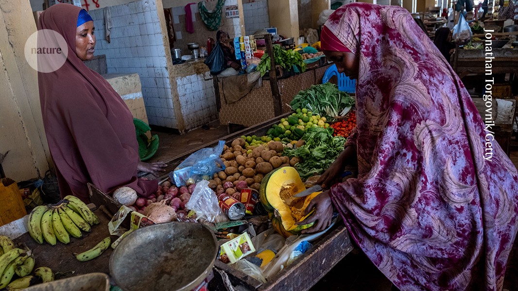 The spectre of malnutrition is back and must be tackled — fast