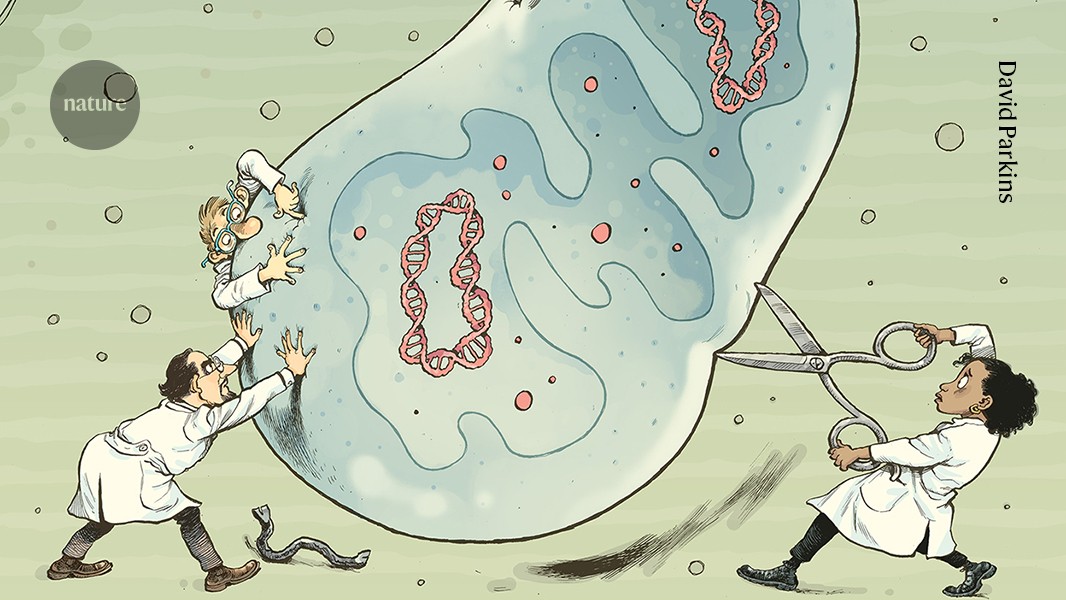 fixing them is about to get a lot easier