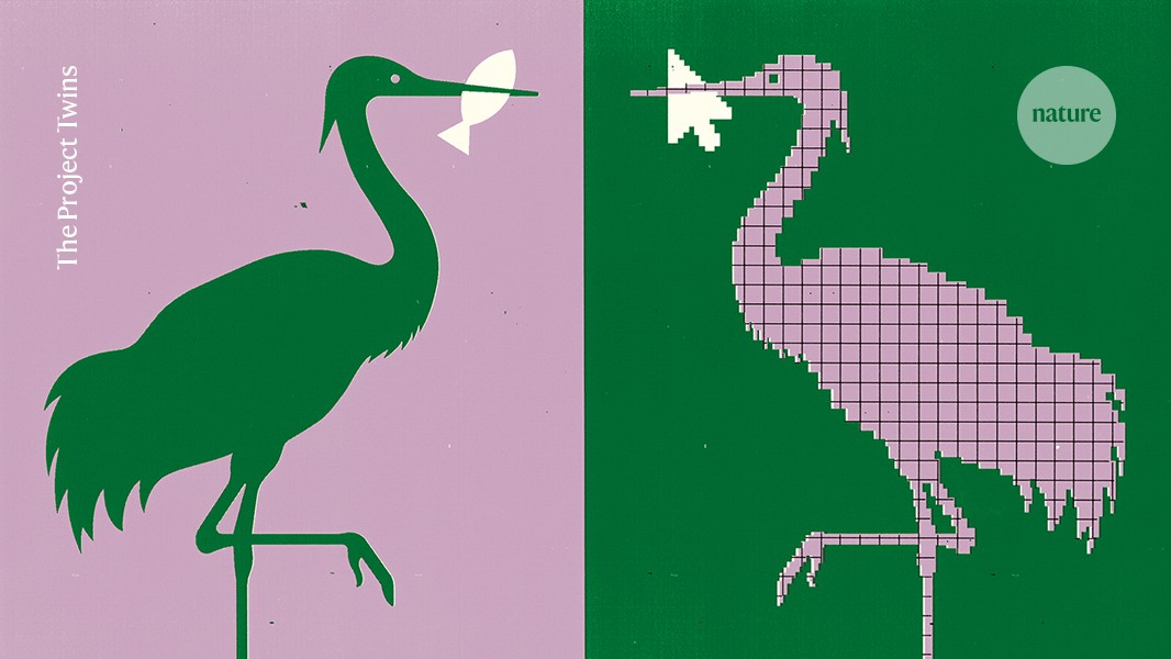 Digital flocks, predators allow ecologists to simulate real-world animal behaviour