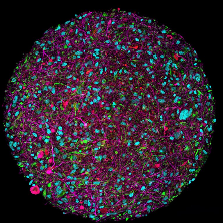 Four game-changing immunology tools to watch