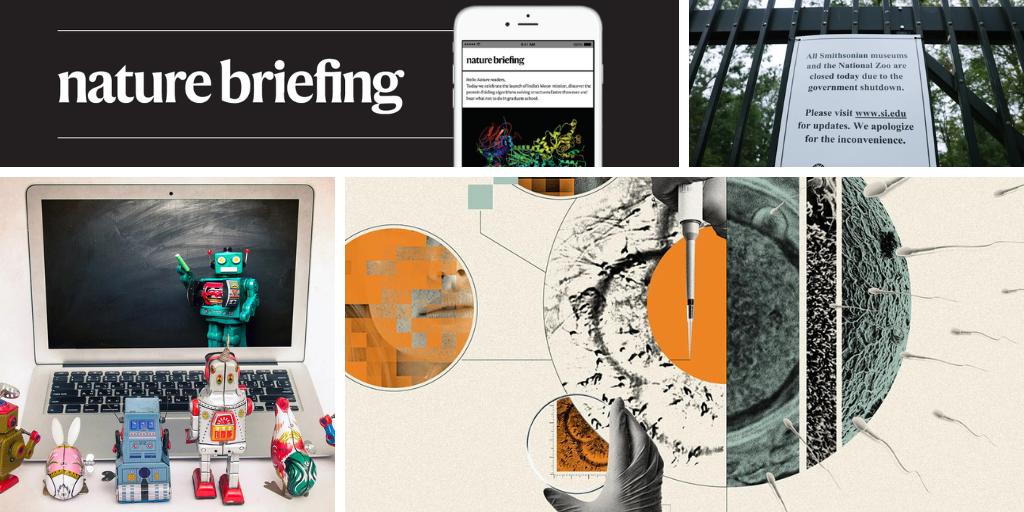 Making babies with lab-grown eggs and sperm