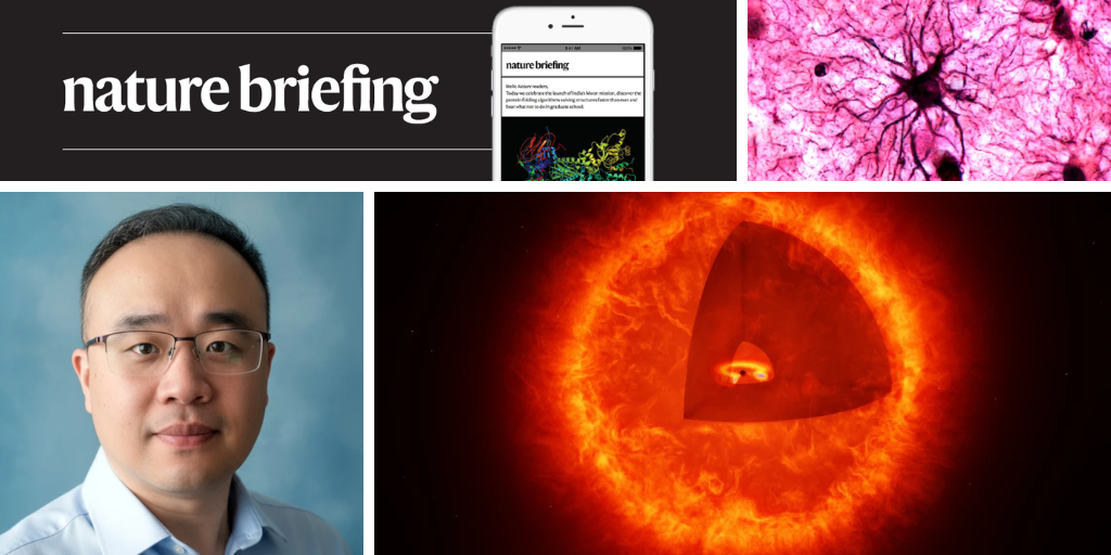 How the brain locks in long-term memories