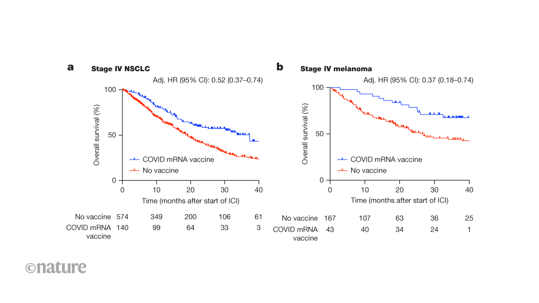 Tumours might be sensitized to immune therapy by COVID mRNA vaccines