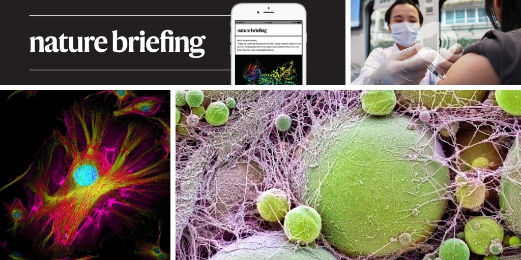 Gene that causes obesity also shields against heart disease