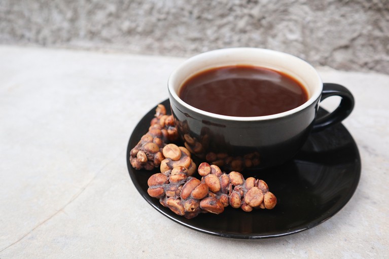This luxury ‘cat poo’ coffee has a unique flavour: what’s behind it?