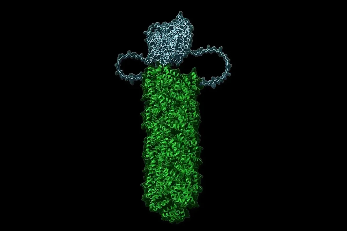 Cells Have a Crystal Trigger That Makes Them Self-Destruct When Viruses Invade