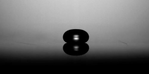 Drops Hover Indefinitely Above Vibrating Solid Surface