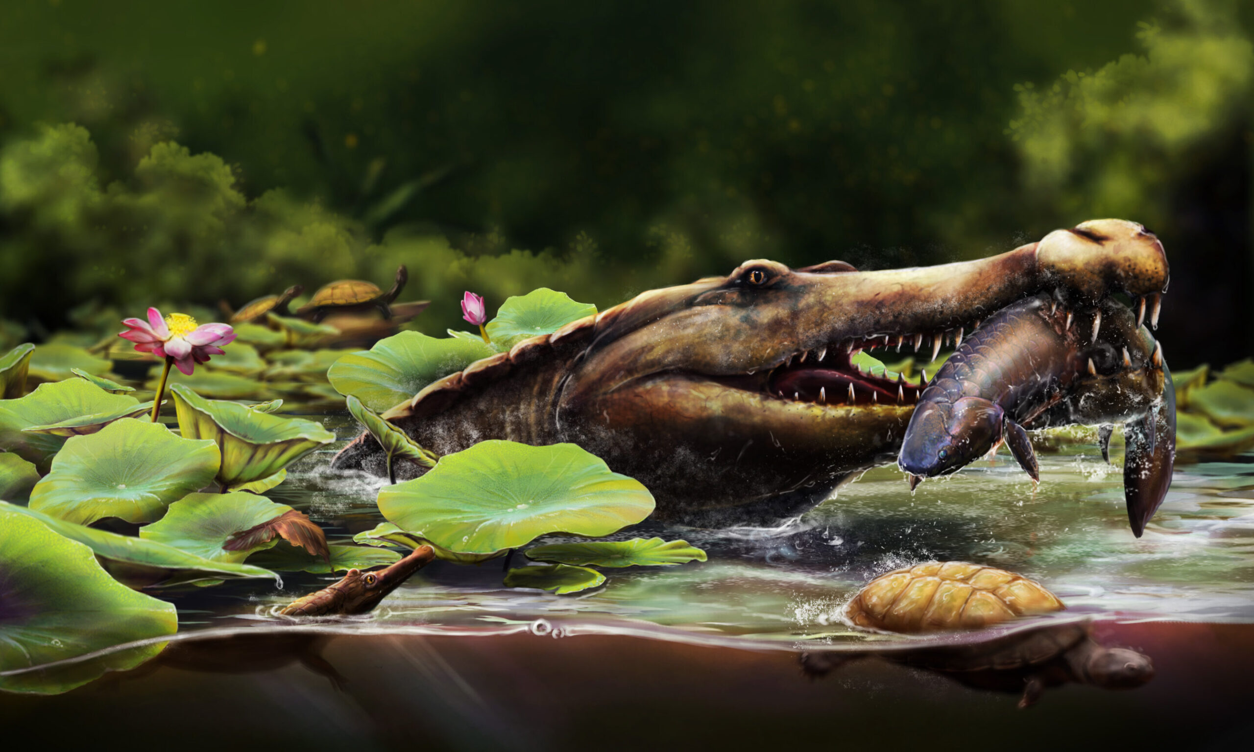 Earliest long-snouted fossil crocodile from Egypt reveals the African origins of seagoing crocs