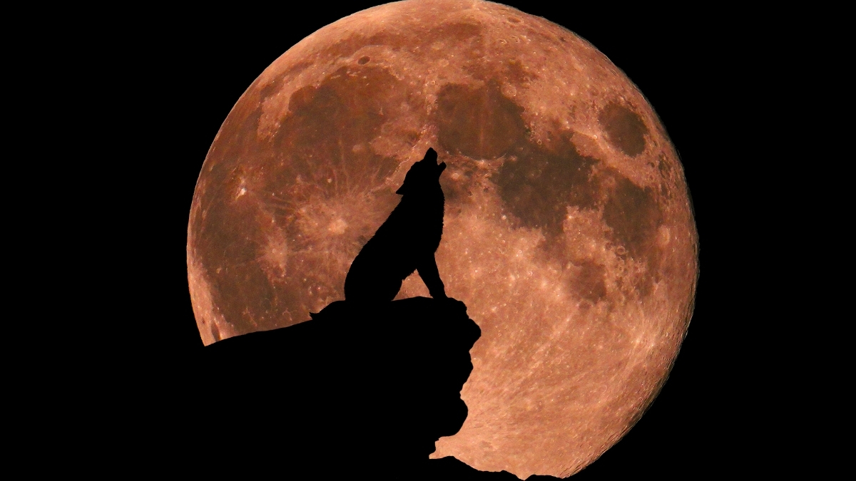 Does The Full Moon Really Affect Our Sleep? Here’s The Science : ScienceAlert