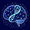 AI accurately forecasts brain immune responses to RNA and DNA nanotherapies