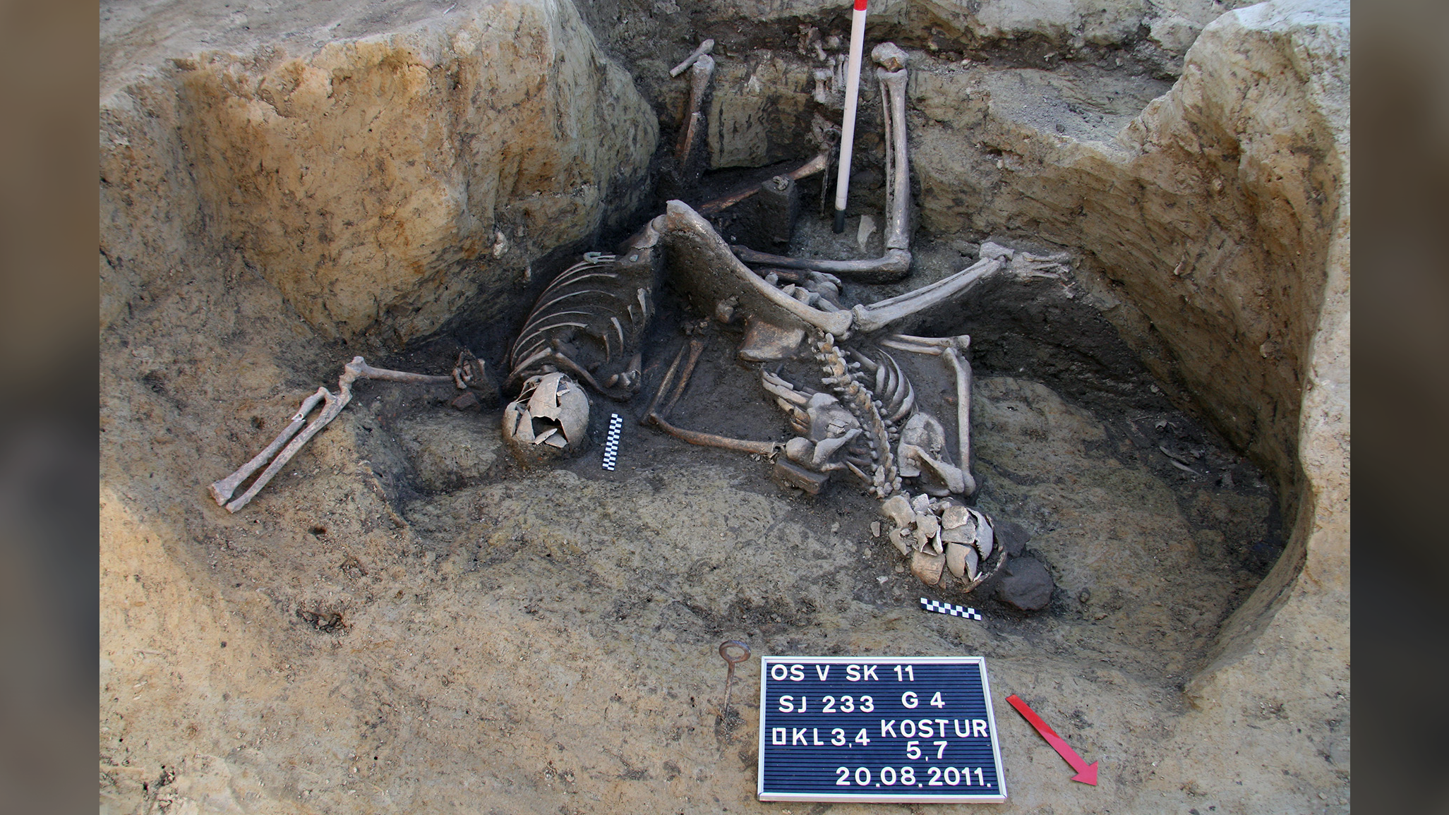 Skeleton-filled well in Croatia likely holds remains of Roman soldiers, study finds