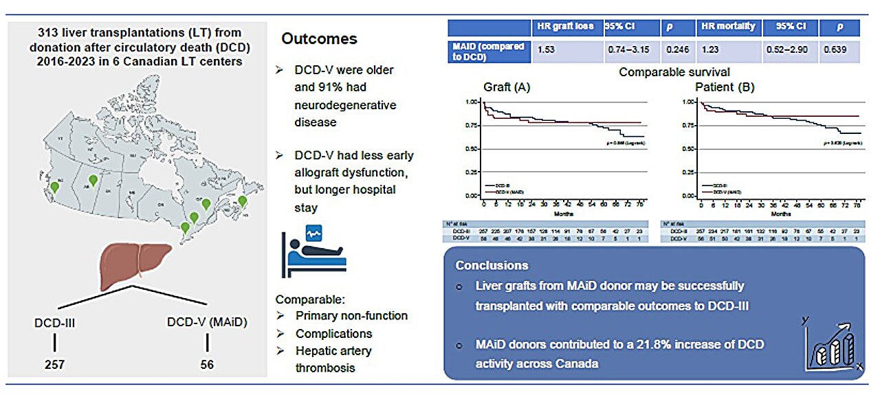 Liver transplantation utilizing grafts donated after euthanasia is feasible, study suggests