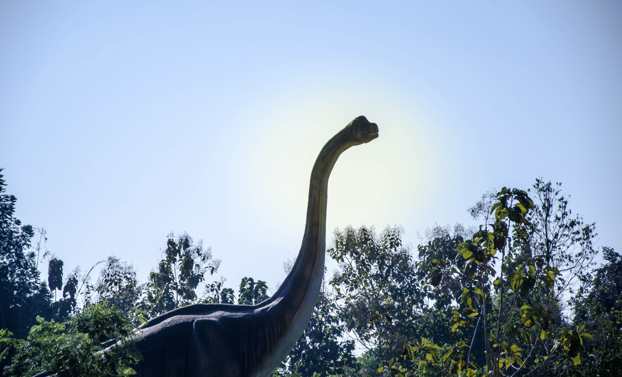 North America’s Most Gigantic Dinosaur Was An Astounding 21 Meters Long