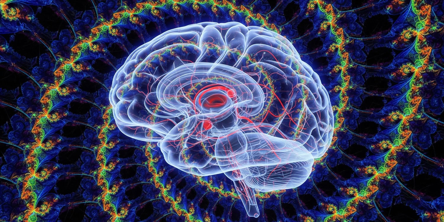 Long-term ayahuasca use linked to distinct emotional brain activity and higher resilience