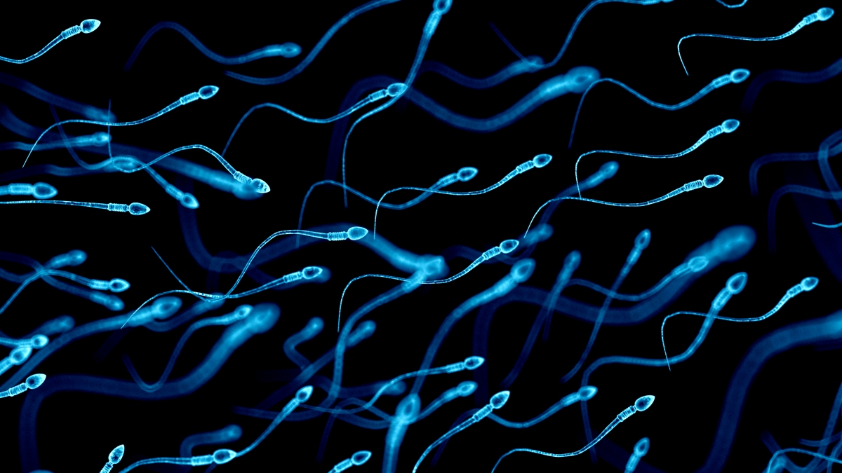 Older Men’s Sperm Carry More Mutations, And They May Turn Harmful : ScienceAlert