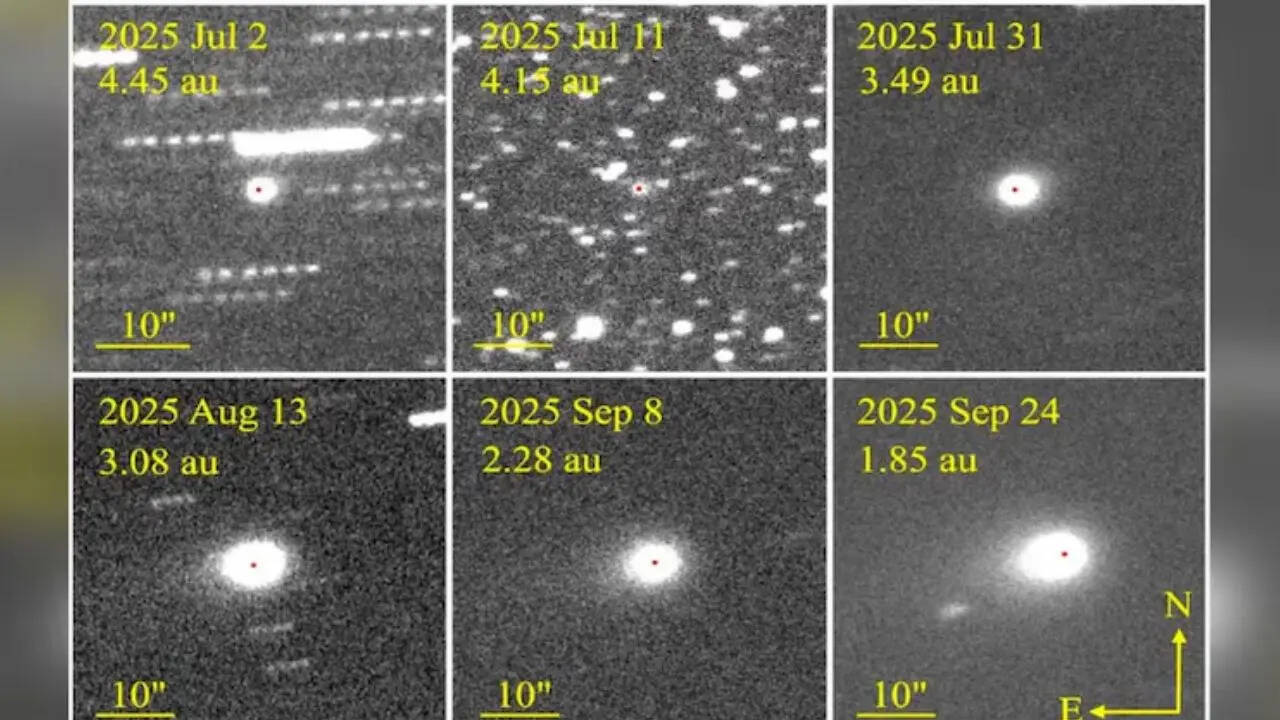 ‘Never Committing Suicide’: The Comet 3I/ATLAS Conversation That Triggered Elon Musk’s Declaration | US News