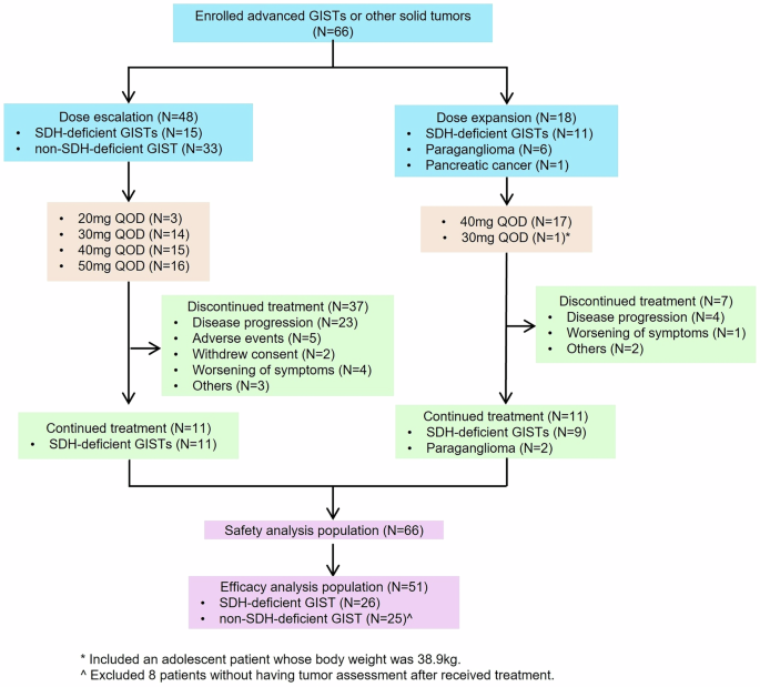 Olverembatinib, a multikinase inhibitor that modulates lipid metabolism, in advanced succinate dehydrogenase-deficient gastrointestinal stromal tumors: a phase 1b study and translational research