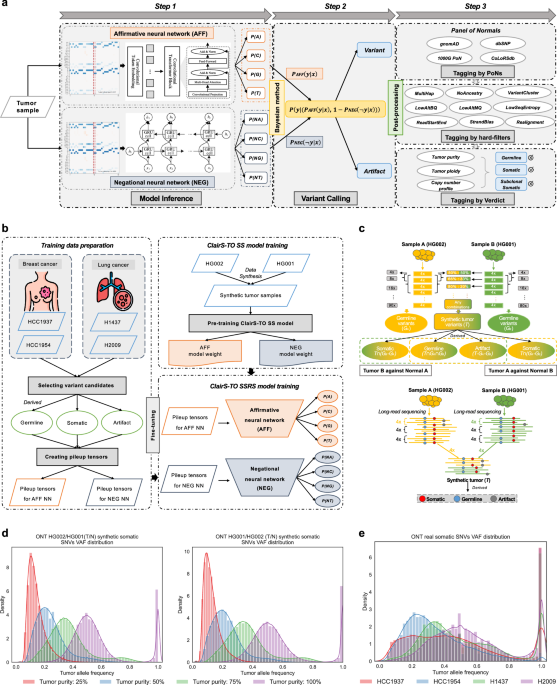 ClairS-TO: a deep-learning method for long-read tumor-only somatic small variant calling