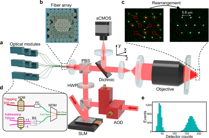 A fiber array architecture for atom quantum computing