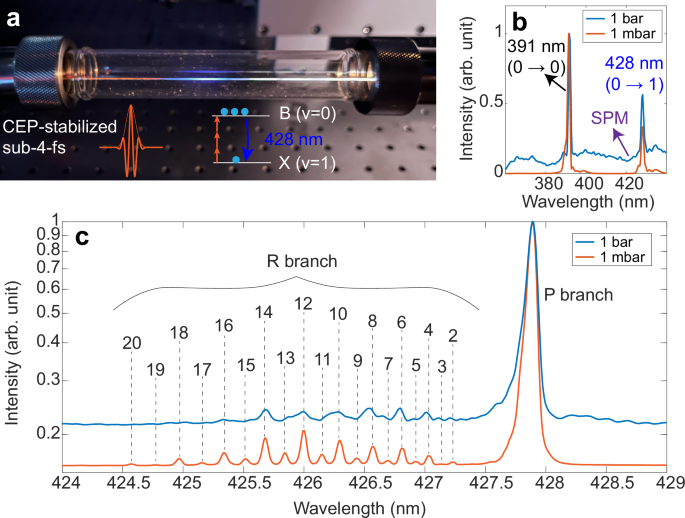 Controlling rotational air lasing lineshape by carrier-envelope offset phase