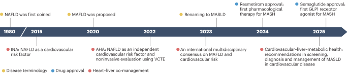 Heart–liver co-management in MASLD: from concept to clinical practice
