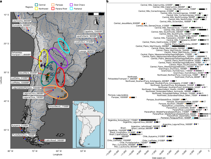 Eight millennia of continuity of a previously unknown lineage in Argentina