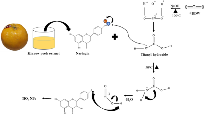 Green synthesis of TiO2 nanoparticles using Kinnow peel extracts and their antioxidant properties