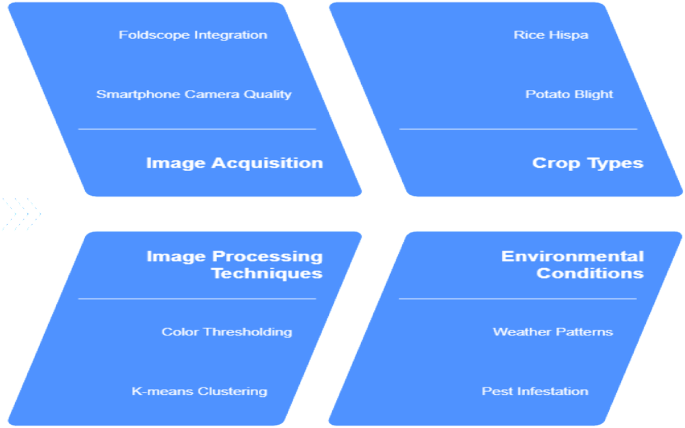 IoT integrated CNN framework for automated detection and quantification of rice and potato crop diseases