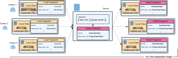Federated nnU-Net for privacy-preserving medical image segmentation