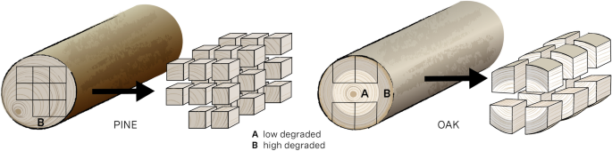 Stabilisation of waterlogged archaeological wood: the analysis of structural and dimensional changes of different conservation methods using magnetic resonance imaging and X-ray micro-computed tomography