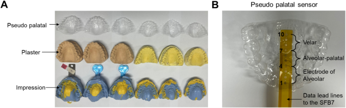 Electrical impedance phase variation in relation to articulation manner