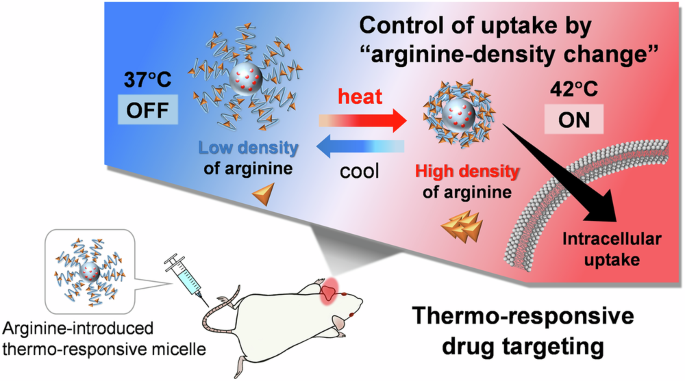 Thermo-responsive targeting of polymeric micelles by controlling the cellular uptake based on the change of their surface arginine density