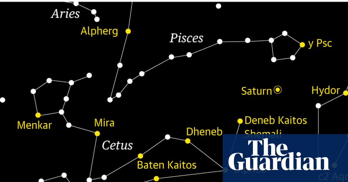 Starwatch: track Cetus, the sea monster, sprawling across the night sky | Astronomy
