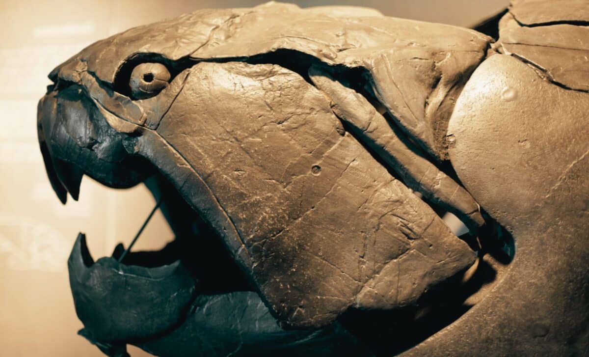 360 Million Years Ago, Cleveland Was Home to a Monstrous Predator With Bone Blades Instead of Teeth