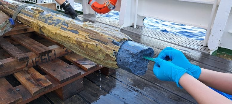 Biologists Discover Life in One of Earth’s Most Hostile Places