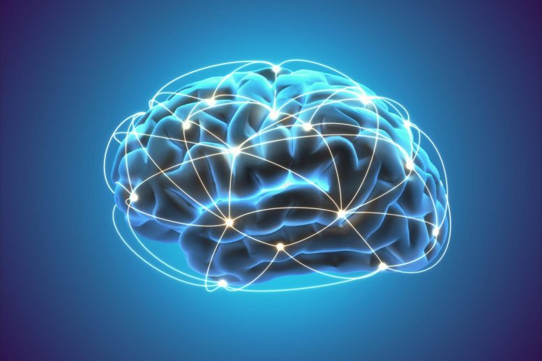 Scientists Have Discovered a Way to Boost Memory in Aging Brains