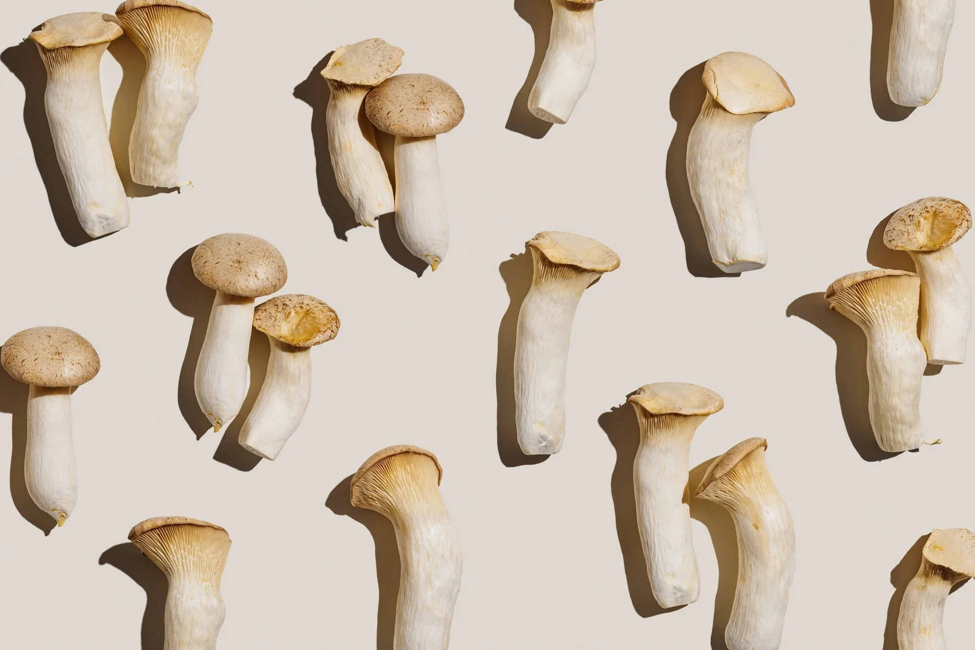 Are mushrooms more than a low-calorie food? New analysis explains their hidden advantages
