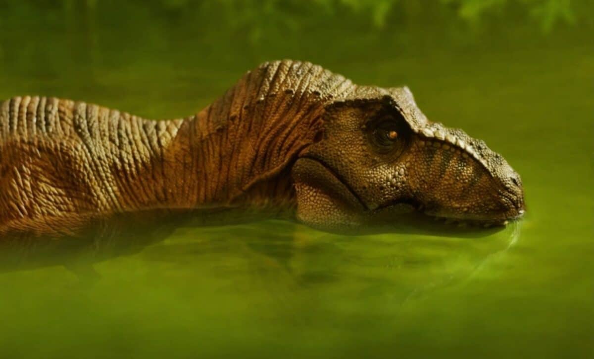 Scientists Find Fossilized Swim Traces, Revealing That T. rex Was More Than Just a Land Predator