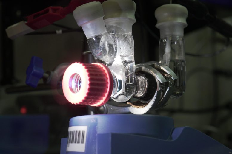 Scientists Create an Artificial “Leaf” That Turns CO₂ Into Useful Products