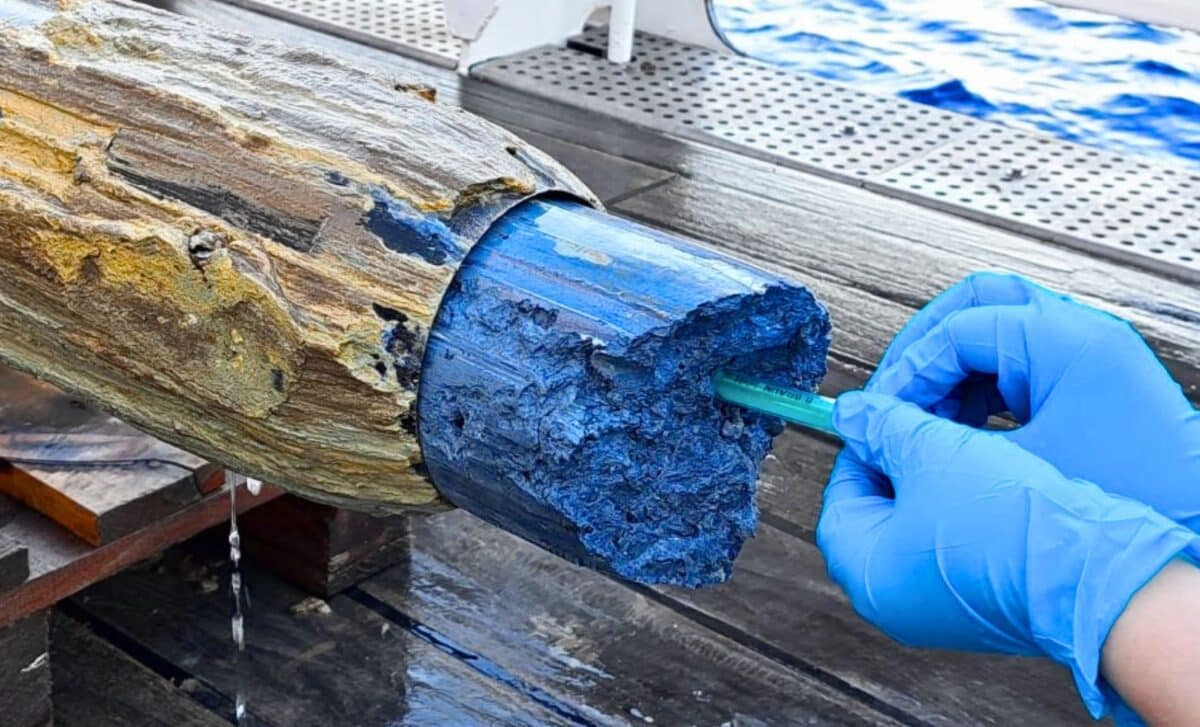 Deep in the Pacific Abyss, Scientists Uncovered a Strange Blue Mud—And Life Forms That Defy the Rules of Biology