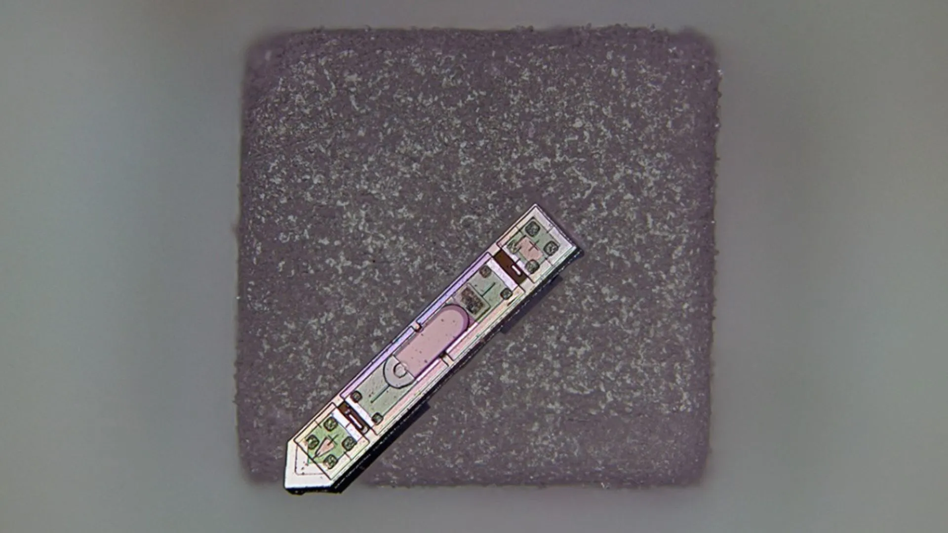 World’s smallest neural implant tracks brain signals through light