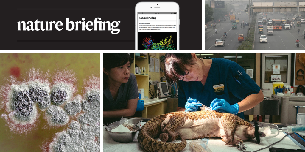 Custom-made gene-editing therapy for children to enter clinical trial