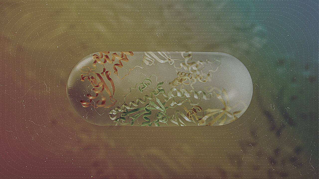 Researchers model how encapsulation shapes the evolution of living cells