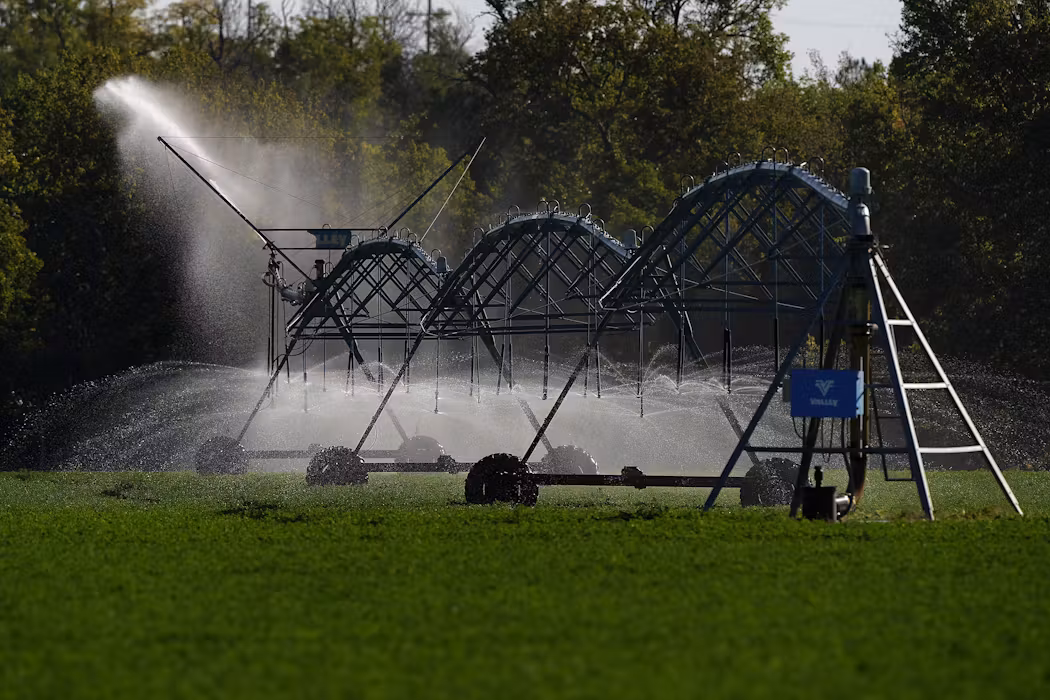 2 ways you can conserve the water used to make your food